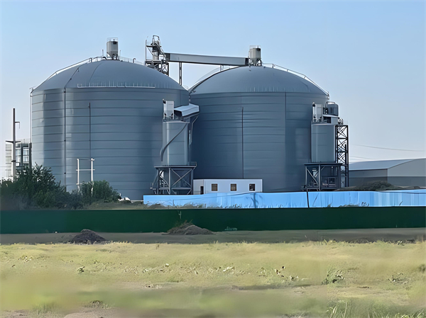 莱芜钢板仓建造施工方案详解